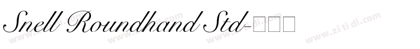 Snell Roundhand Std字体转换